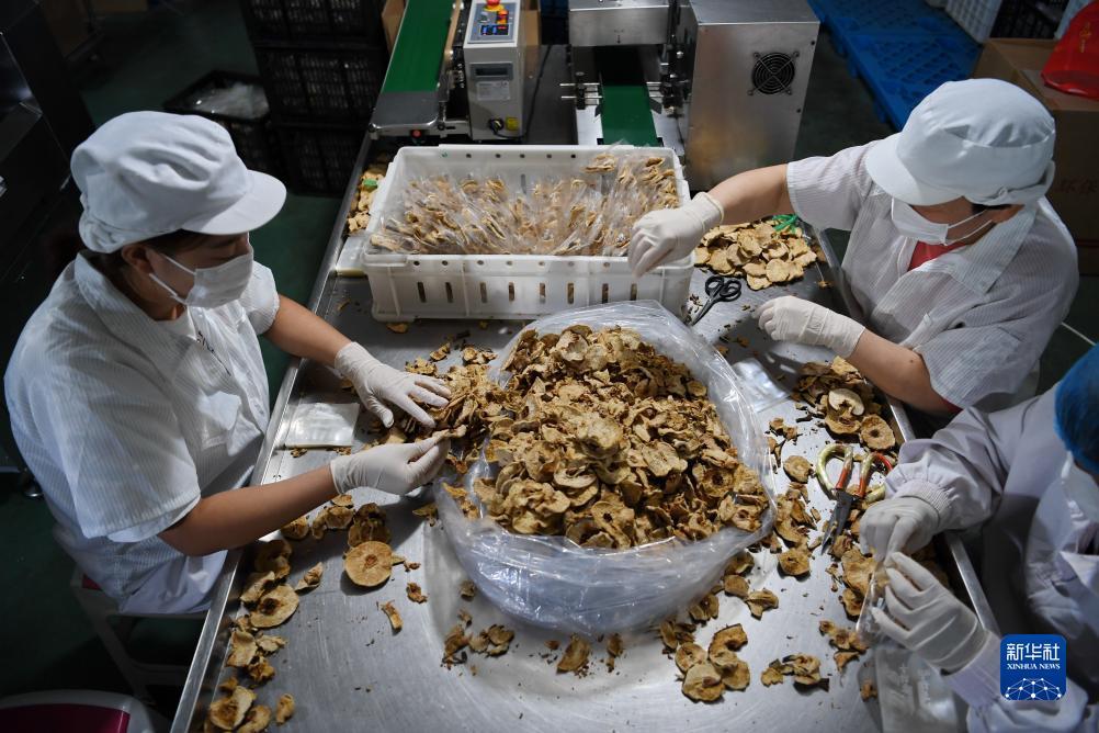 雷竞技app下载官网